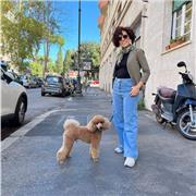 Ripetizioni di ragioneria, economia e diritto